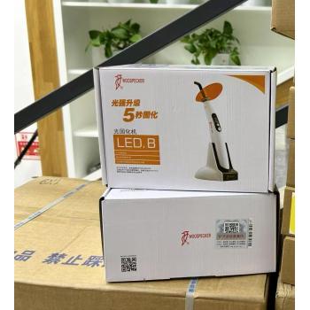 Woodpecker®歯科LED光重合器 光照射器 Bブルーライト